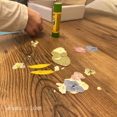 2023 11 252017.19.19