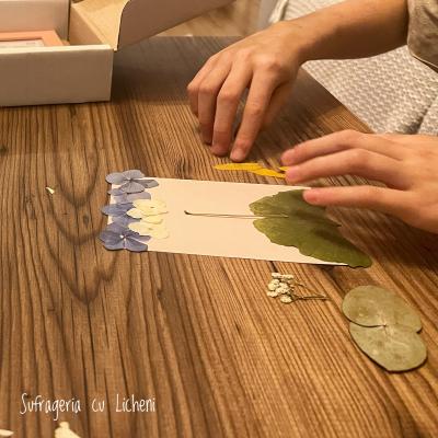 2023 11 252017.21.30 1