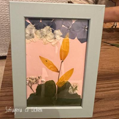 2023 11 252017.40.15