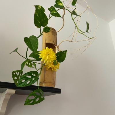 Ikebana 44